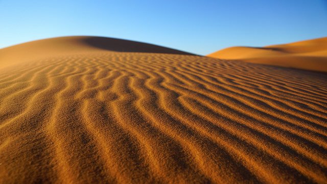 Le désert de Merzouga. 
