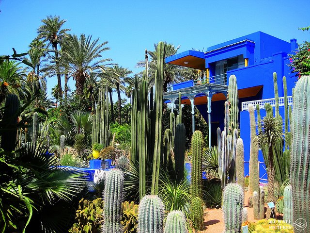 Le jardin Majorelle à Marrakech 