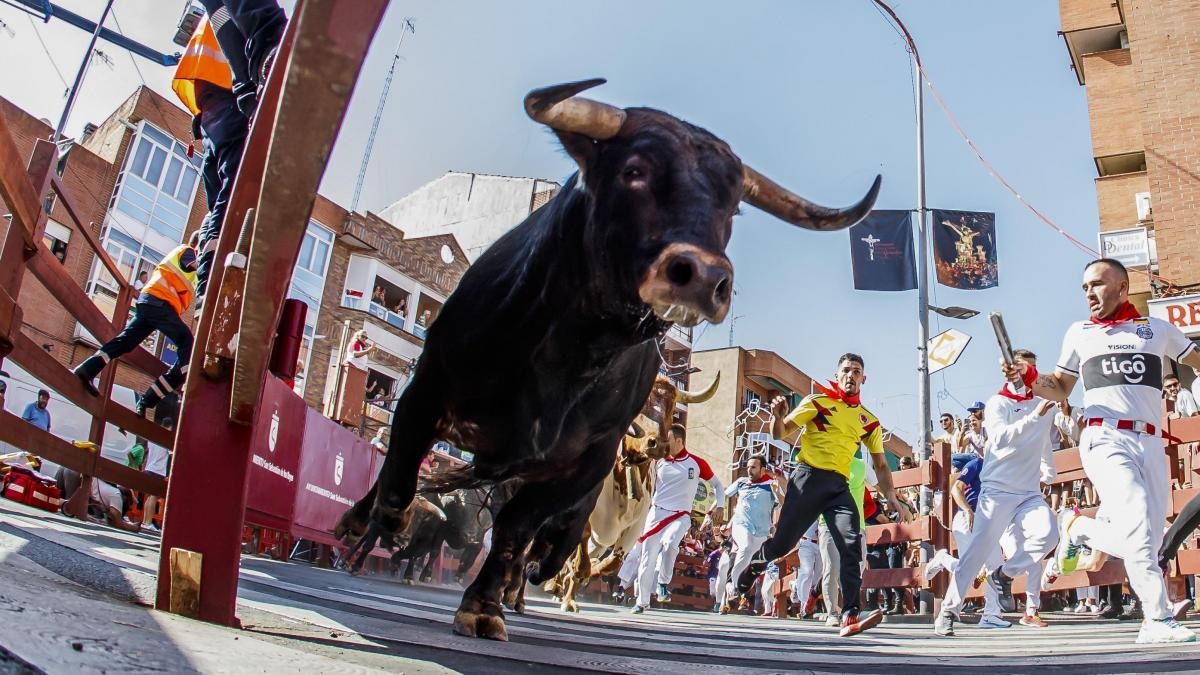 Espagne: un sexagénaire meurt encorné lors d’un lâcher de taureaux